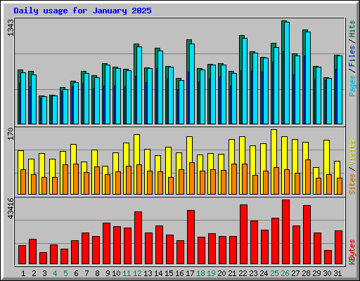 Daily usage for January 2025