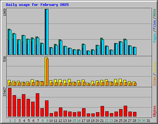 Daily usage for February 2025