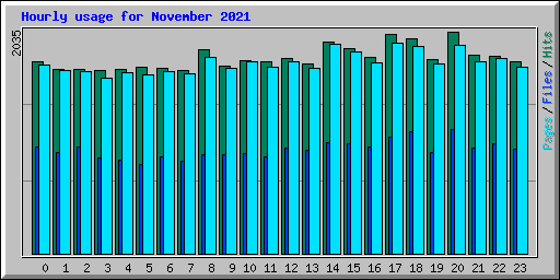 Hourly usage for November 2021