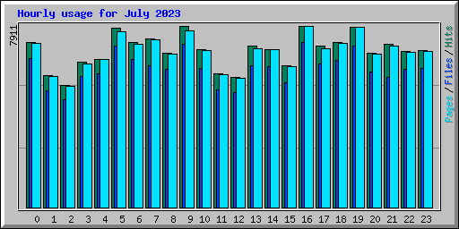 Hourly usage for July 2023