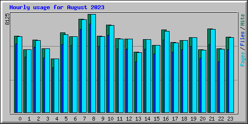 Hourly usage for August 2023