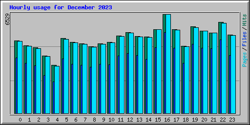 Hourly usage for December 2023