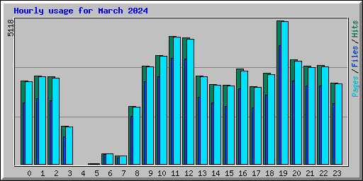 Hourly usage for March 2024