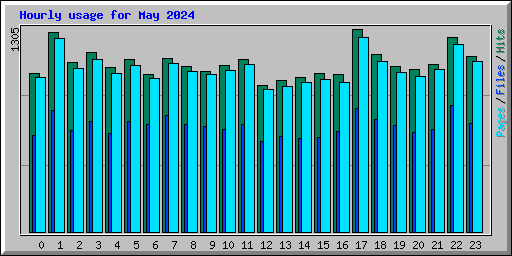 Hourly usage for May 2024