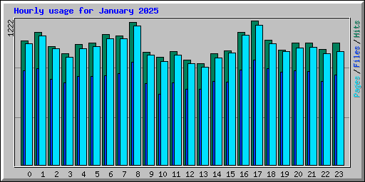 Hourly usage for January 2025