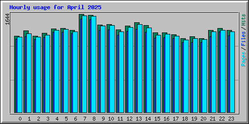 Hourly usage for April 2025