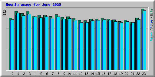 Hourly usage for June 2025