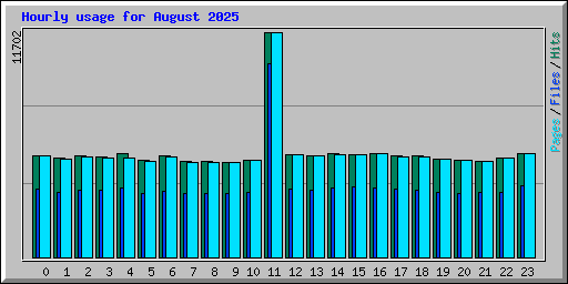Hourly usage for August 2025
